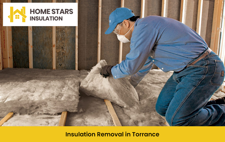 Insulation Removal in Torrance